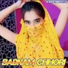 About Badnam Chhori Song